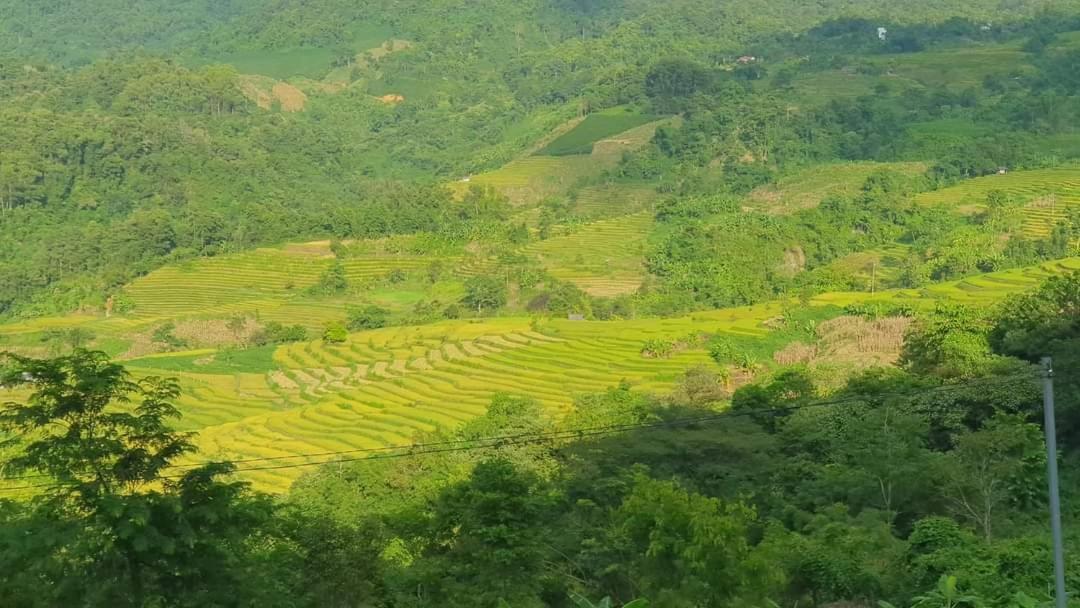 Ecolodge Ke Nenh Dien Bien Ban Hin Lom Buitenkant foto