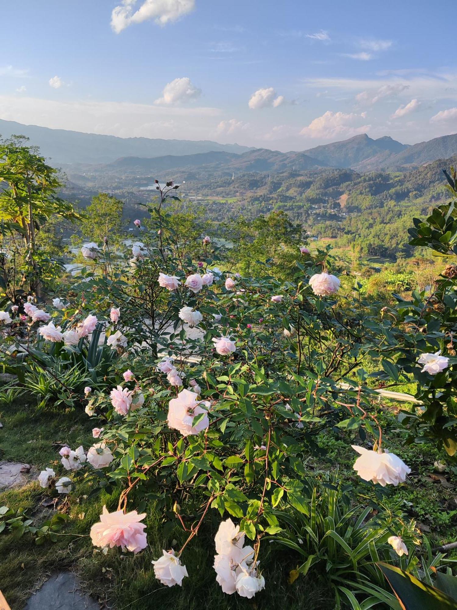 Ecolodge Ke Nenh Dien Bien Ban Hin Lom Buitenkant foto